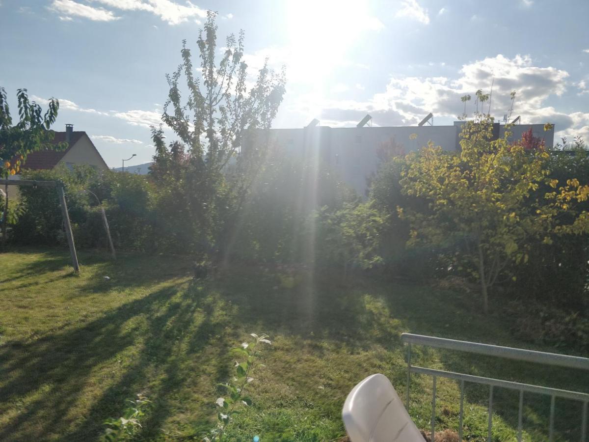 Très Bel Appartement Neuf et Moderne 63m2 à Obernai Exterior foto